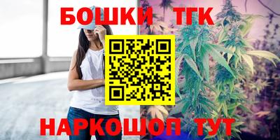 тгк Моздок