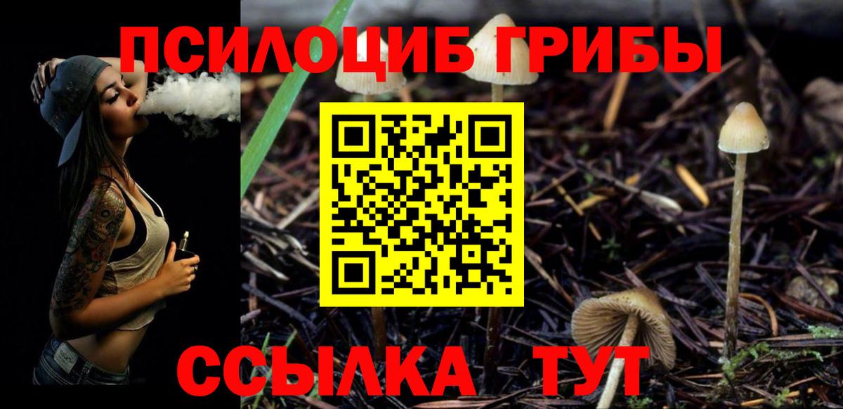 Южно-Сахалинск  Галлюциногенные грибы мухоморы  Вход с VPN 