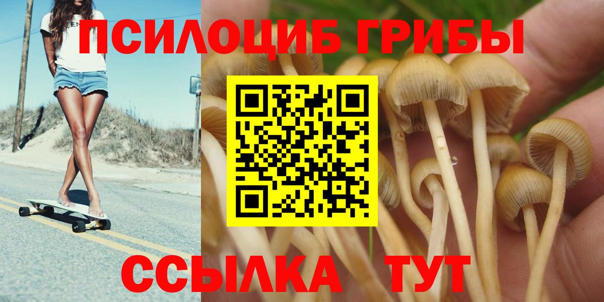 Псилоцибиновые грибы мухоморы Южно-Сахалинск